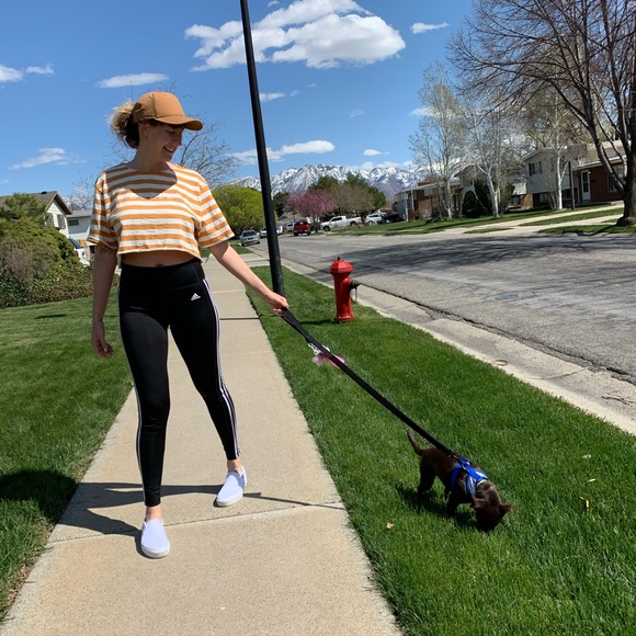 Meet your Posher, Alisa - Picture 1 of 5